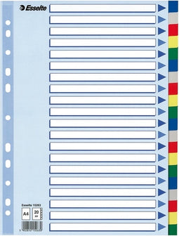 Tabbladen Esselte A4 11R PP 20-delig