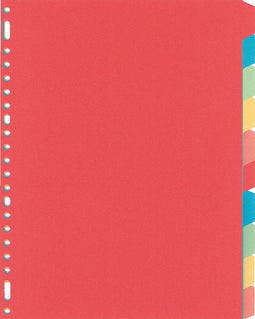 Tabbladen Kangaro 23-gaats PE410M 10-delig assorti karton - 25 stuks