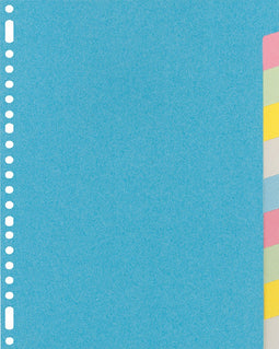 Tabbladen Kangaro 23-gaats RY410M 10-delig assorti karton | 20 stuks