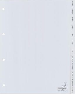 Tabbladen Kangaro 4-gaats G412J 12-delig maanden grijs PP - 25 stuks