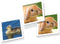 Tactic Memory - Kaartspel - Memo - Babydieren