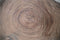Tafelblad - 150x150X10 - munggur