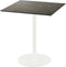 Tafelpoot Wit - Laag - 45x45x72cm - Urban