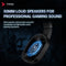 TAIDU THS320Pro - 2.4GHz Draadloze Gaming Headset - Bluetooth koptelefoon - met microfoon - Geschikt voor PS4/PS5, Nintendo Switch - Multiplatform - Zwart