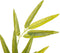 Tak 40 x 30 x 157 cm Groen