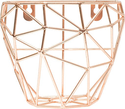 TAK Design Thanwa Mand M - Wandbevestiging - Metaaldraad - 20,5 x 11,5 x 15 cm - Koperkleurig