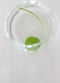 TAK Design Vaas Diamond XL - Handgemaakt - Glas - Ø10 x 30 cm - Zilver