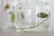 TAK Design Vaas Diamonds XL - Handgemaakt - Glas - Ø10 x 30 cm - Zilver