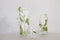 TAK Design Vaas Tree XL - Handgemaakt - Glas - Ø10 x 30 cm - Zilver