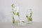 TAK Design Vaas Tree XL - Handgemaakt - Glas - Ø10 x 30 cm - Zilver