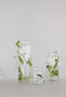 TAK Design Vaas Tree XL - Handgemaakt - Glas - Ø10 x 30 cm - Zilver