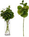 Tak Lakens 75 cm Groen Plastic (12 Stuks)