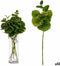 Tak Lakens 75 cm Groen Plastic (12 Stuks)