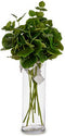 Tak Lakens 75 cm Groen Plastic (12 Stuks)