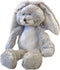 Take Me Home Knuffel Konijn Pluche 19 X 29 Cm Beige