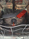 AEG FSE76727P - Volledig geïntegreerde inbouw vaatwasser - 14 couverts - Energieklasse A - Geluidsniveau 43 dB