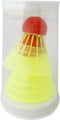 Talbot-Torro Beachminton set