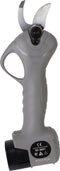 Talen Tools - Elektrische Snoeischaar - Takkenschaar - Heggenschaar - Professioneel - 2 accu's & opbergkoffer