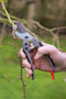 Talen Tools - Snoeischaar – Premium - Voorbijsnijdend – Blank geslepen - 20 cm