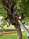 Talen Tools - Takkenschaar – Voorbijsnijdend – Telescopisch – Premium – 66-99 cm