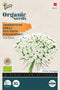 Tandenstoter the Giant Organic Seeds (Bio)