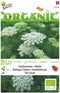 Tandenstoter the Giant Organic Seeds (Bio)