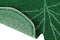 Tapijt Monstera Leaf 120x160cm