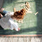 Tapis Petit Vloerkleed - Julie Ocean