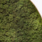 Freyr Groen - Mosschilderij - 30cm bestellen? Gratis & snel verzonden