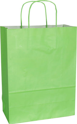 Tas | Kraftpapier | gedraaid papieren koord | 26x 12x35cm | draagtas | groen | 50 stuks