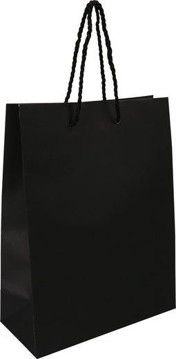 Tas | Papier | met koord | 22x 10x29cm | draagtas | zwart | 100 stuks