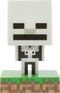 Minecraft - Skeleton Icon Lamp - Tafellamp - Nachtlamp - 10 cm