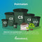 Taxus media 'Groenland' - Venijnboom - Planthoogte: 30-40 cm - Pot Ø 19 cm (3 liter)