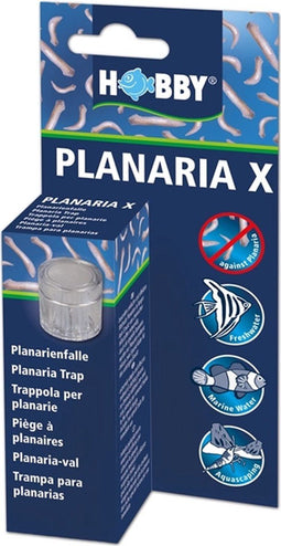 Hobby Planaria X, planaria val
