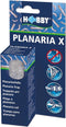 Hobby Planaria X, planaria val