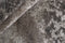 Seduction 840177 Vloerkleed - 300x400 - Rechthoek - Laagpolig Tapijt - Modern - Beige, Taupe