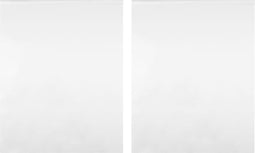 vidaXL - Spiegelfolies - 2 - stuks - zelfklevend - 60x100 - cm - PET
