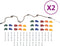vidaXL - Klimstenen - 50 - st - met - touw - meerkleurig