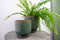 Ter Steege Bloempot Groen D 17 cm H 17 cm