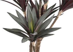 PTMD Yucca Kunstplant - 62 x 40 x 92 cm - Kunststof - Rood