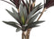 PTMD Yucca Kunstplant - 62 x 40 x 92 cm - Kunststof - Rood