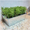Plants by Frank | 6 Rozemarijnplant | Vaste planten | Tuinplanten | 6 x Ø7 cm | 15 cm | Rosmarinus offincalis winterhard | Geurhaag
