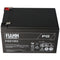 Fiamm FG21202 battery 12Ah WITH fASTON 6.3MM plug contacts