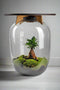 Terrarium | Eiken Tafel | Bonsai plant | Grijs glas | ↑55cm -Ø35cm
