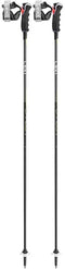 Leki Alpino Carbon 12 3D - Skistokken - Vaste lengte 110 cm - Zilver
