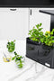 TEIG Home 3 - smart garden met LED verlichting - Zwart - (geautomatiseerd indoor kweekbak)