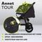 Lionelo Annet Tour - Buggy Opvouwbaar - Verstelbare Rugleuning Ligpositie - XXL Zonnescherm UPF50+ - Golden Moments Tour