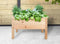 Esschert Design - Verhoogde Moestuinbak - 65 L - Bruin