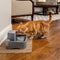 PetSafe Drinkwell® 1.8L Drinkfontein - Vrijvallende waterstroom - Verstelbare stroomsnelheid - Multi