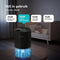 Bloomfold Compact Luchtontvochtiger - 250ML per dag - 700ML reservoir - voor slaapkamer en woonkamer